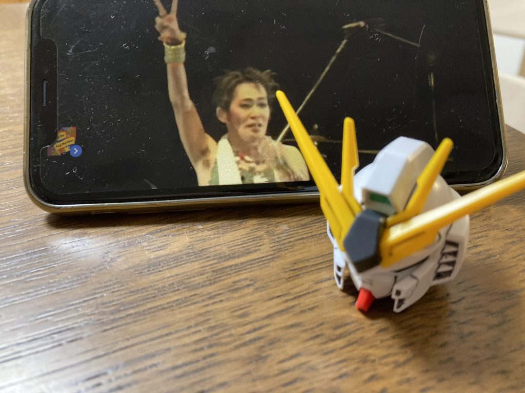 ほぼ素組みの製作風景撮っても仕方ないので、今回は富士ロック観ながら作りました。