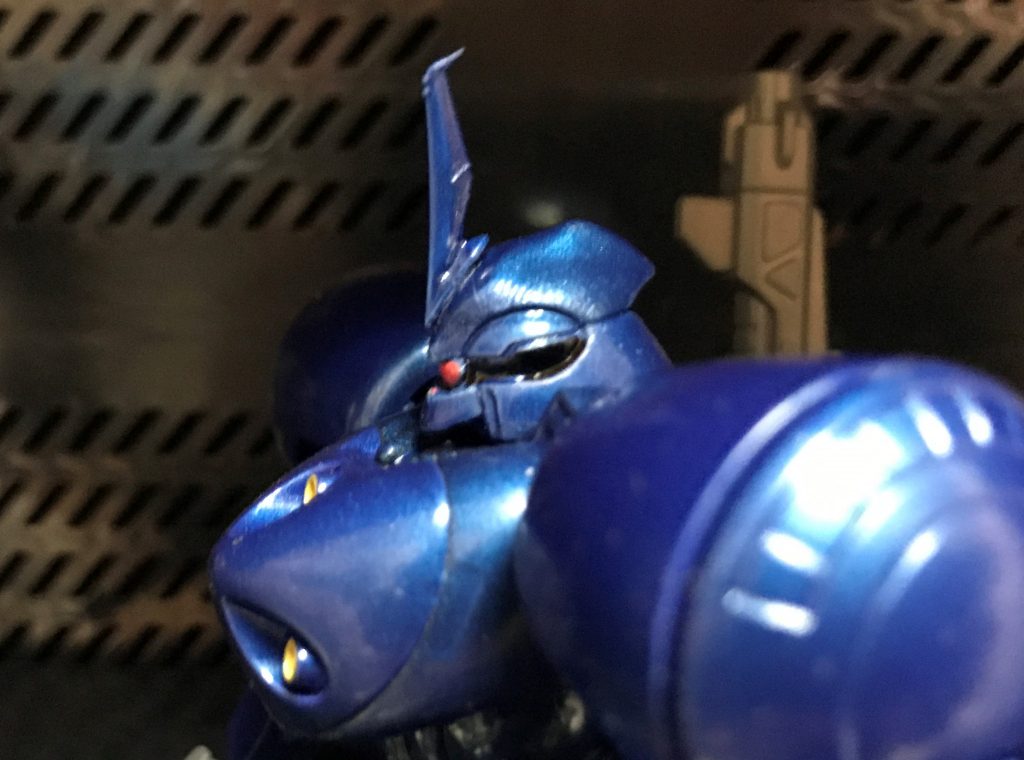 お次はコンティオ