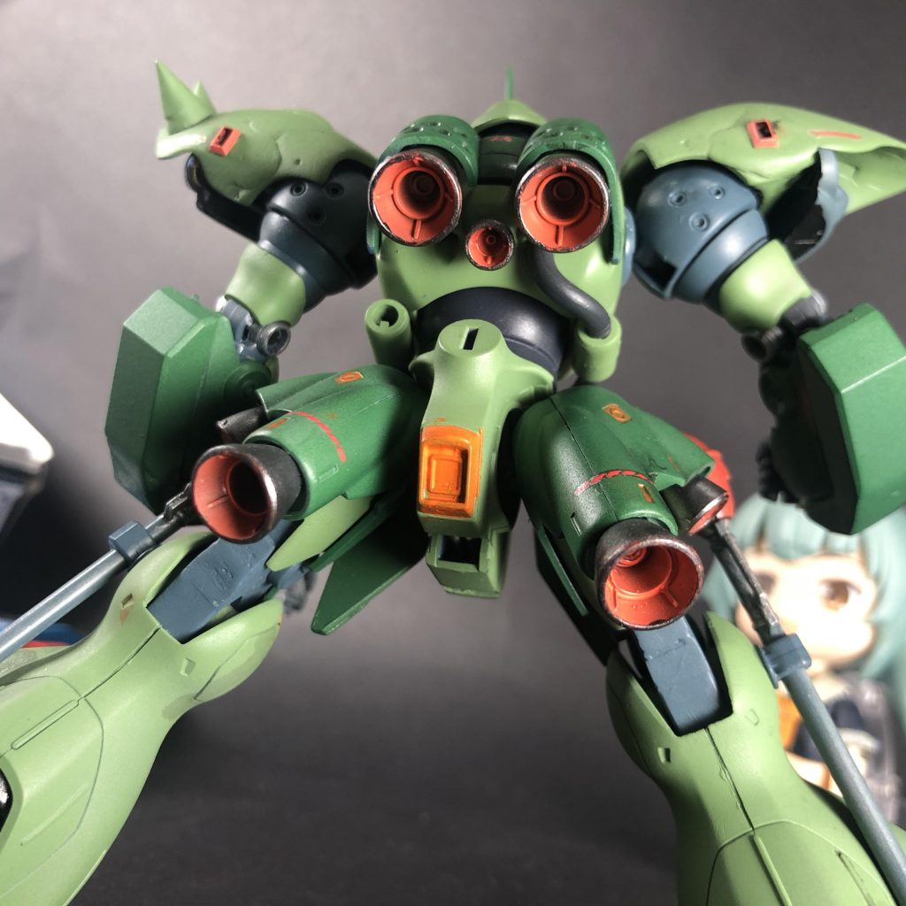 ケンプファー は背面が魅力的ですよね。