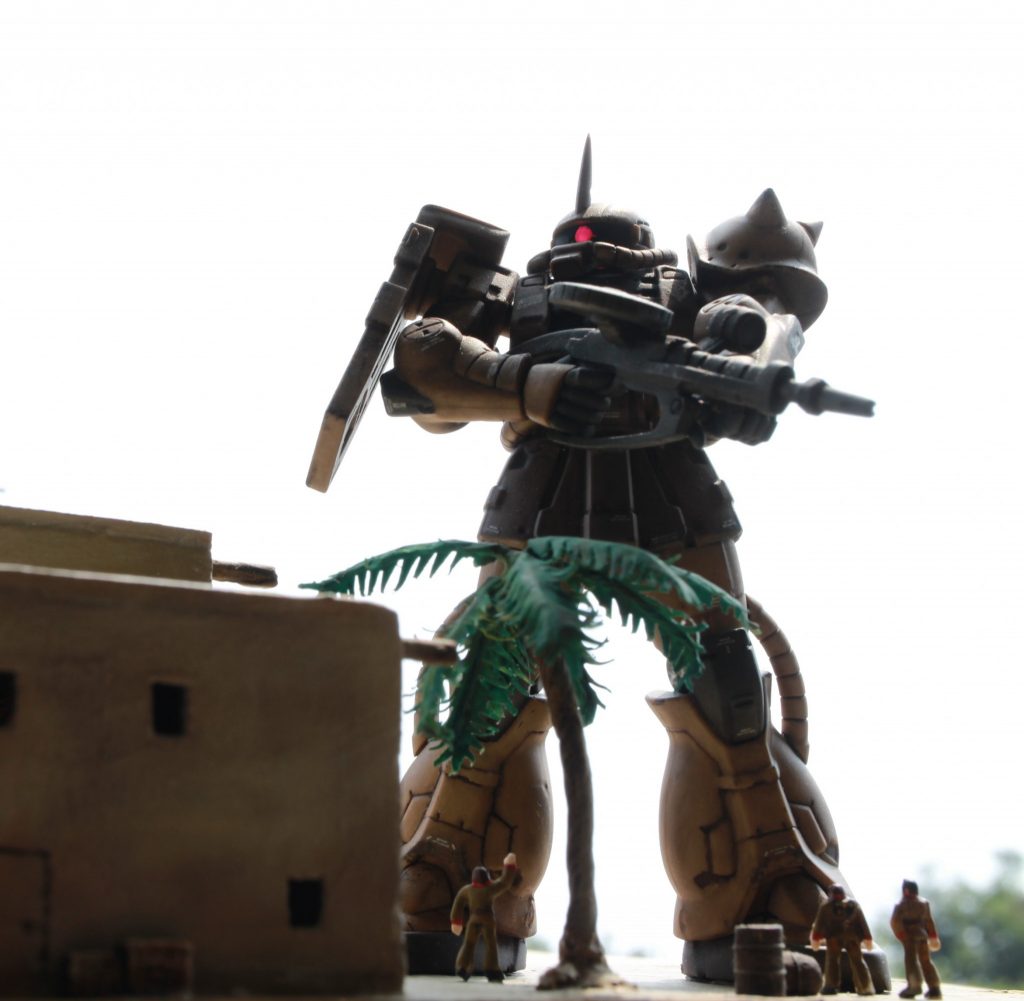 真夏日に撮影したので、リアルに砂漠で撮ったような写真になった気もしますが、本当はもっと綺麗な青い空にしたかった…(砂漠に行ったことないからわかりませんけど…)