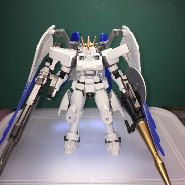 トールギス・シアノメラナ