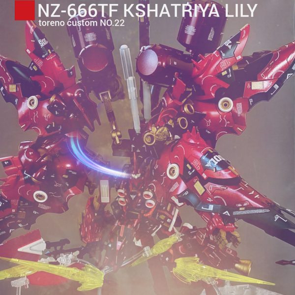 クシャトリヤ・リリィ