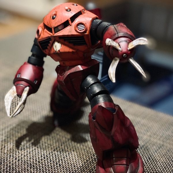 シャア専用 ズゴック  MG