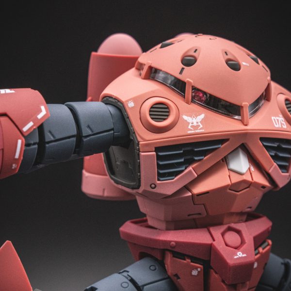 RG シャア専用ズゴック