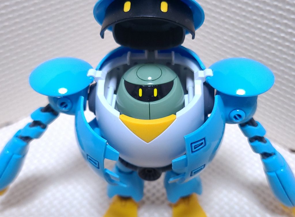 ジーーッと見てるプチカプル