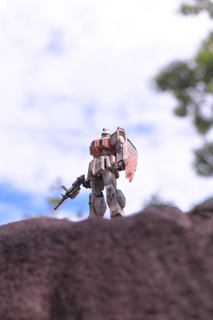 小高いとこにいそうな感じで