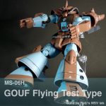 グフ飛行試験型|Reiji's MSV lab.さんのガンプラ作品|GUNSTA ...