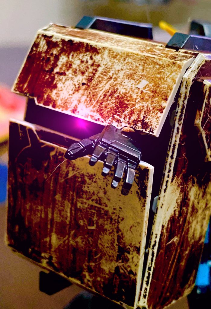 箱の中から何かが…？(*´꒳`*)