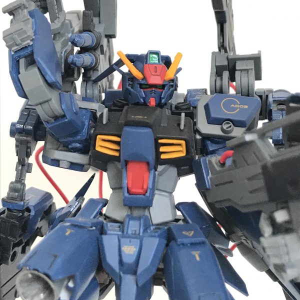 アクセラレイドウェポンパック装備