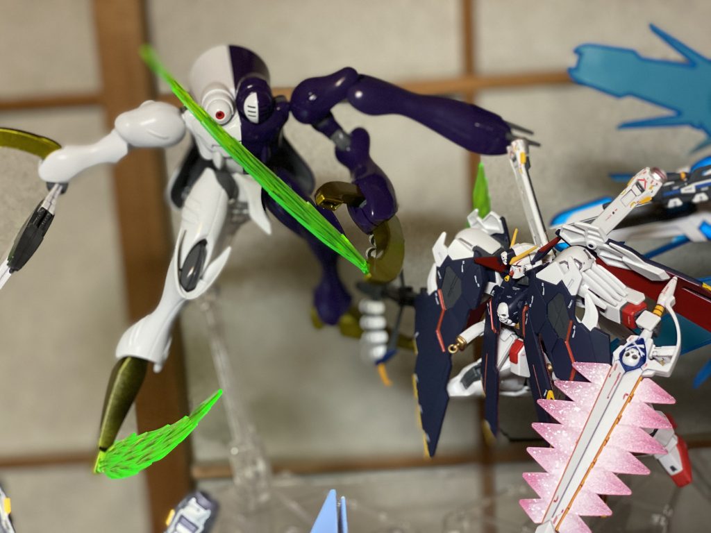 ディキトゥスvs.フルクロス