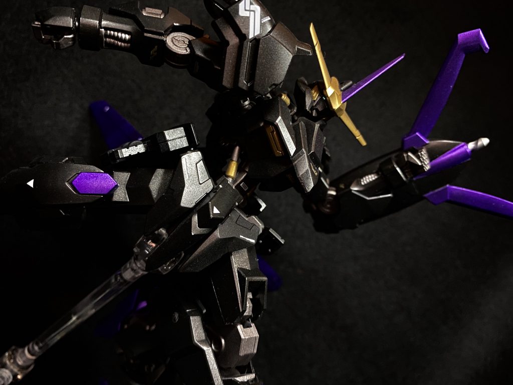 そこ、キュリオスとか言わない。