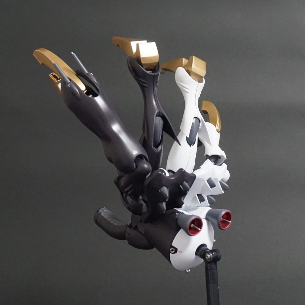 MA形態のバックショット