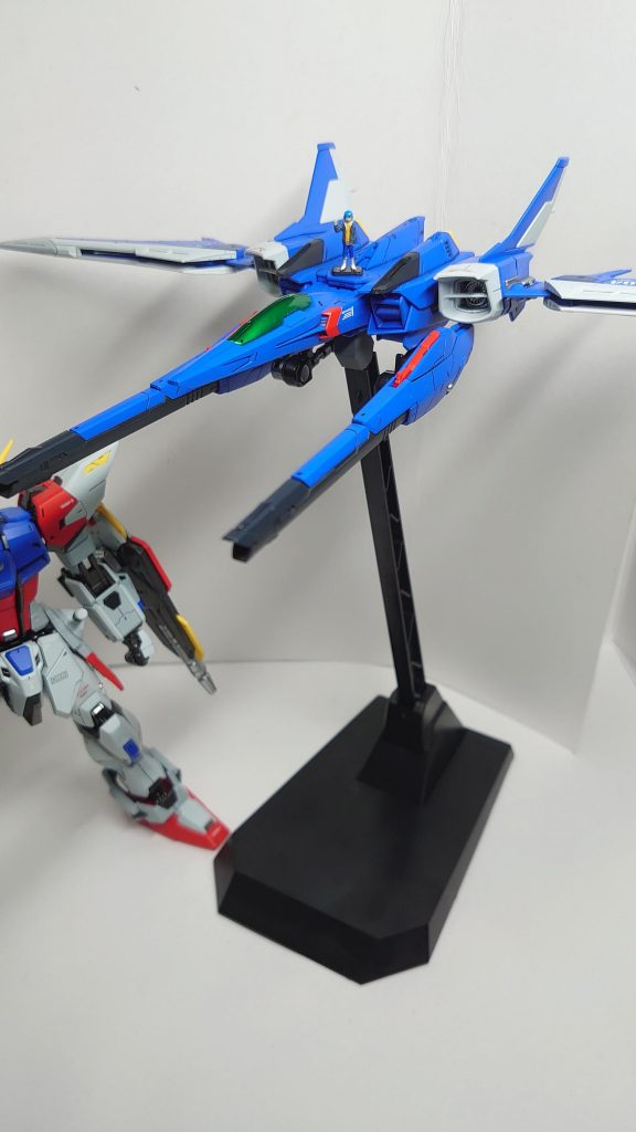 セイ君と一緒に