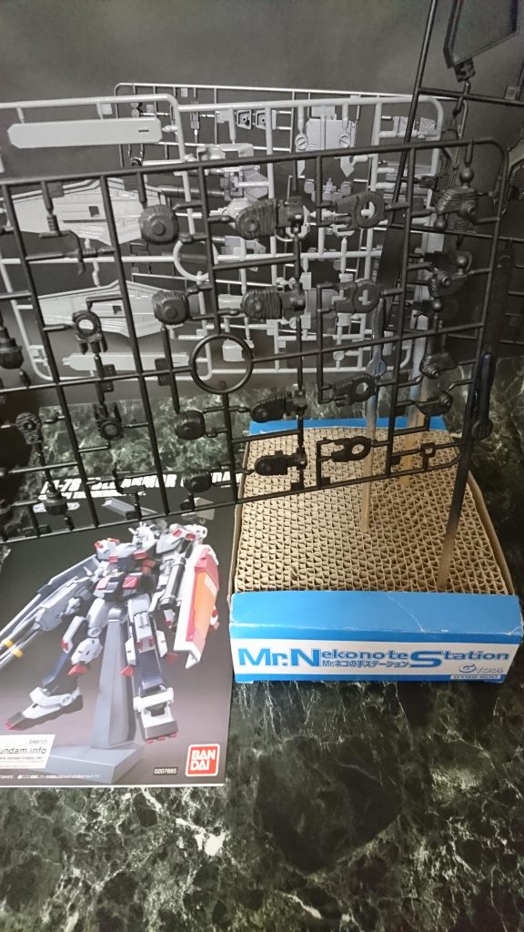 我　が　家　の　い　つ　も　の　光　景