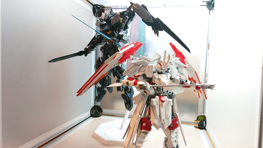 黒の剣士バエルノクスと閃光ヴィダールステラのツーショット黒と白の剣舞！！再現出来て良かった！！