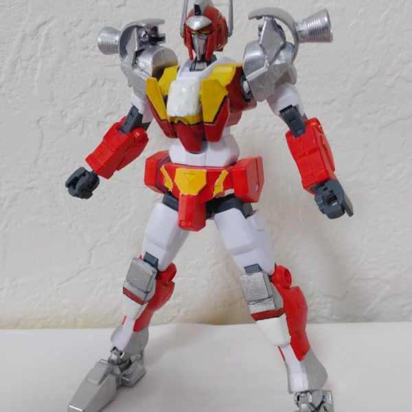 バイカンフー フレーム