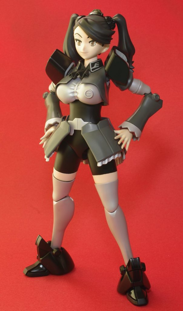 細かい所はこれから仕上げますがひと段落ということで。