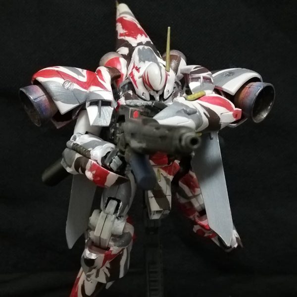 HGガーベラテトラです