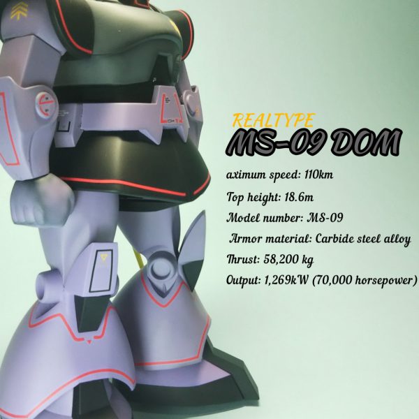 旧キット リアルタイプドム