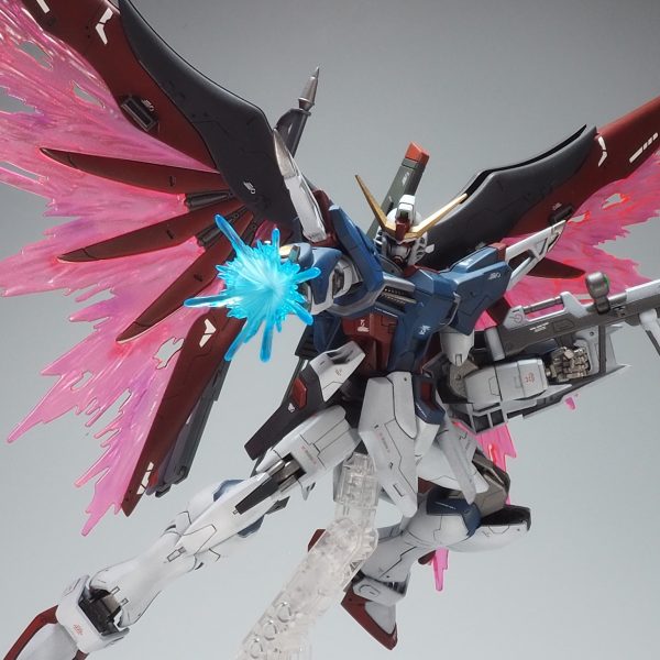 HGCE デスティニー