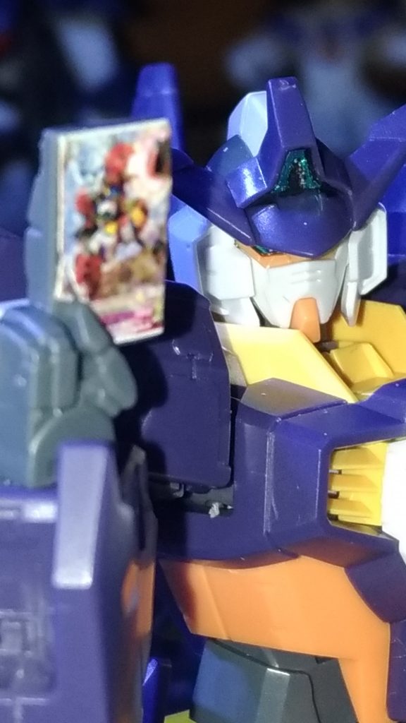 カードはもっと薄くしても良かったかも。分厚すぎますね。トリコロールの時はちょっと考えよう。