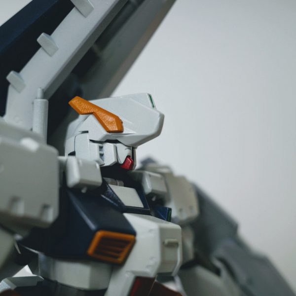 HGCU アドバンスド・ヘイズル 写真集