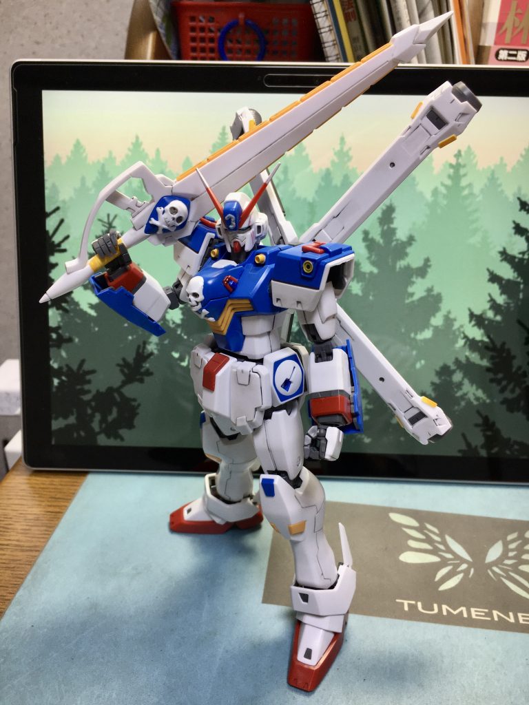 EXVSシリーズの勝利ポーズで