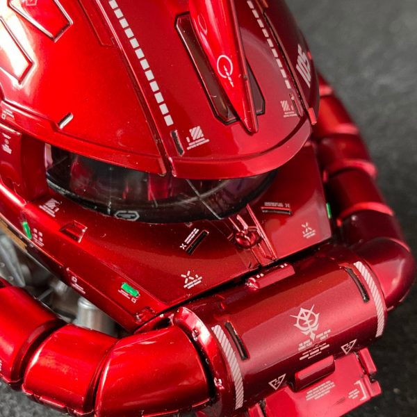 誕生日プレゼントにザクヘッド (^^)