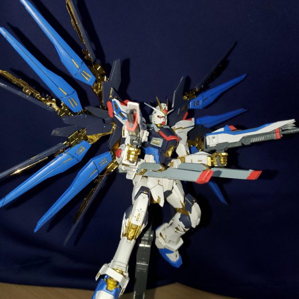 【初製作】RGストライクフリーダム