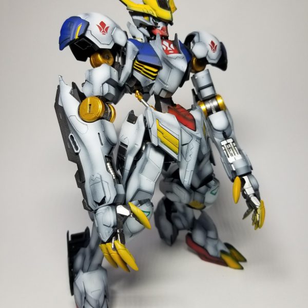 BARBATOS LUPUS REX