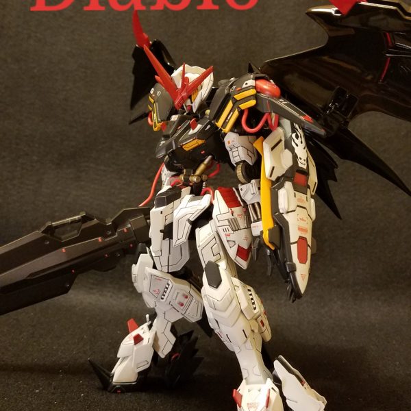 端白星type.D ディアブロ