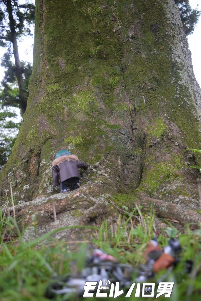 ふと迷い込んだ道。そこには雄大な先輩がいた。