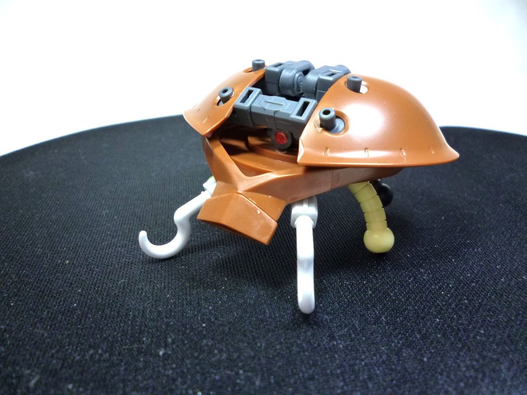 イノシシアッロイです。