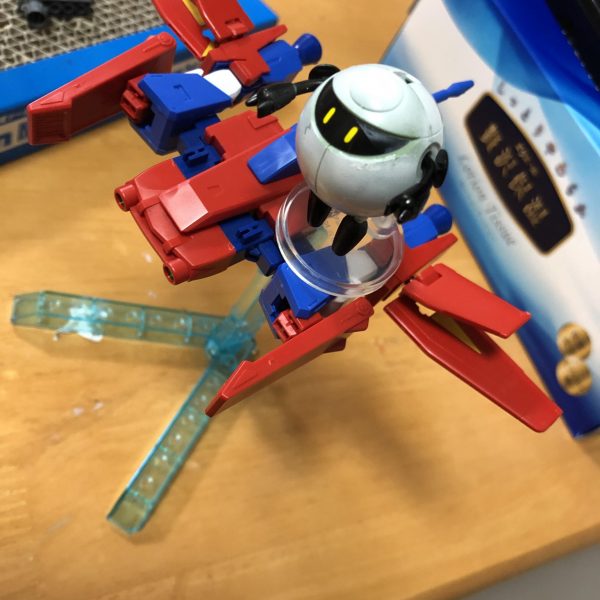 ウミトライオンとパンダモモカプル