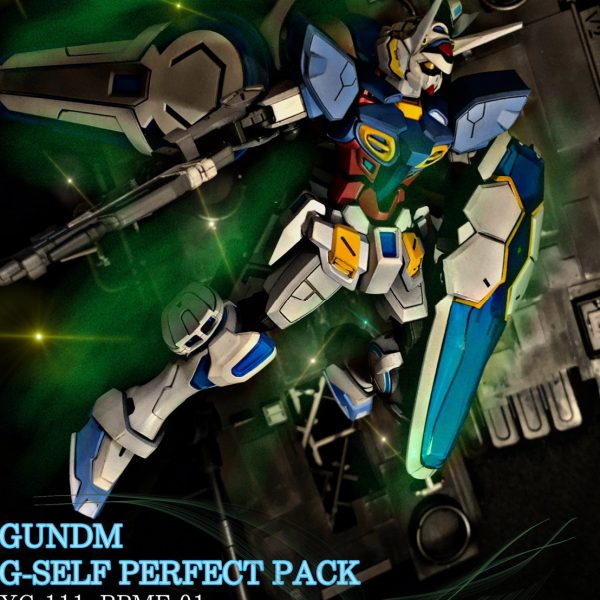 Gセルフ パーフェクトパック