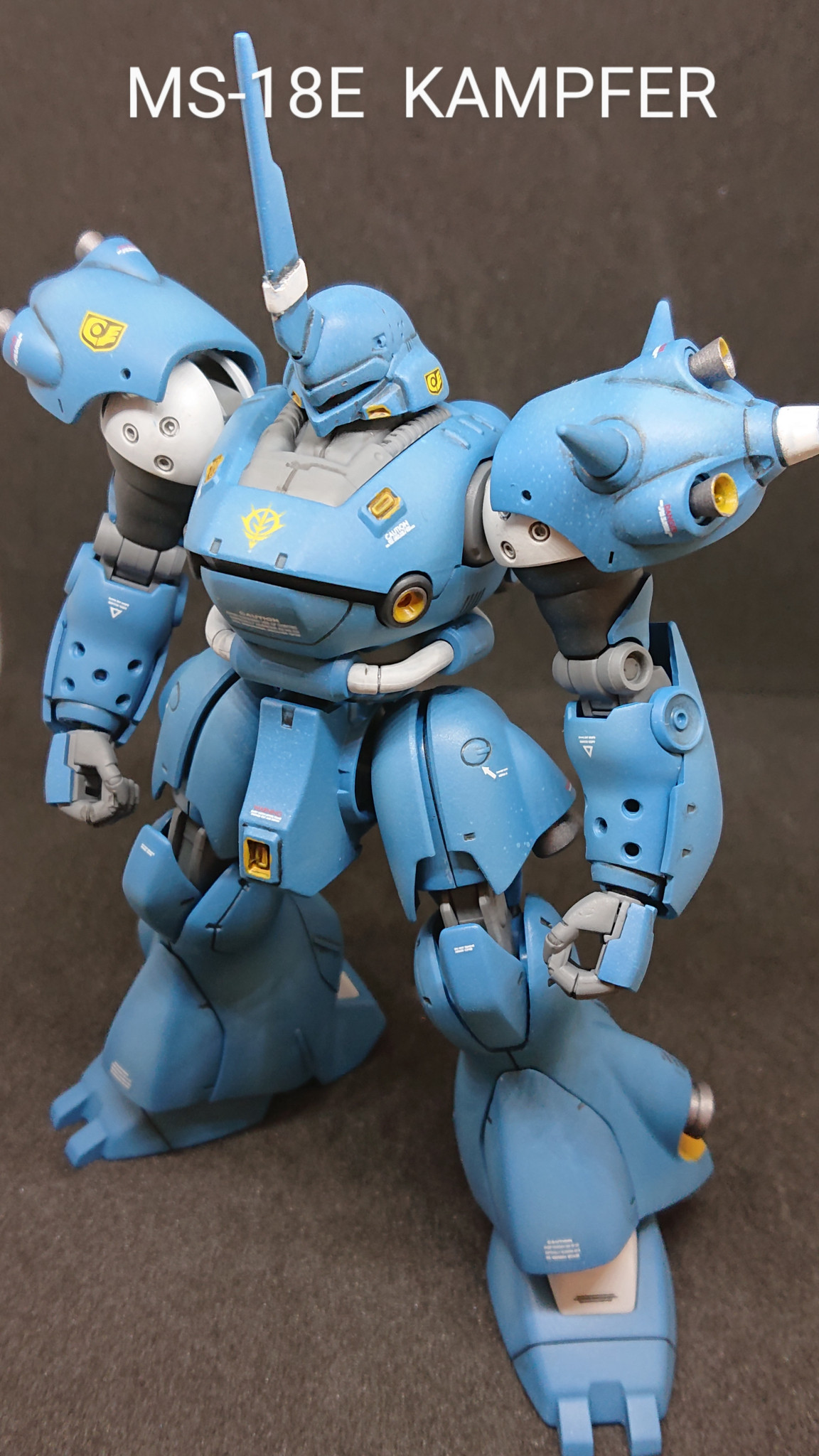 MS-18E ケンプファー｜ガンプラおじさんさんのガンプラ作品｜GUNSTA 