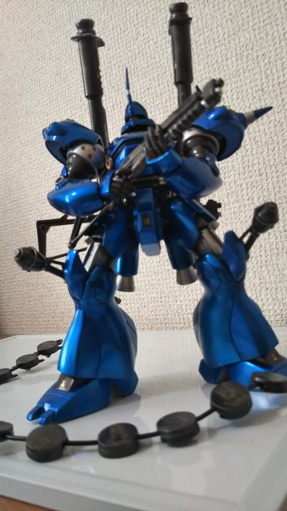 屋内撮影。巨大感出せないかとアップ気味に撮影してみましたが、単にピンボケ(´;ω;`)