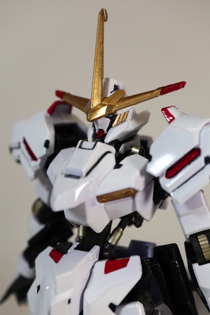 顔面。こうみると端白星はZ系のフェイスみたいですね~