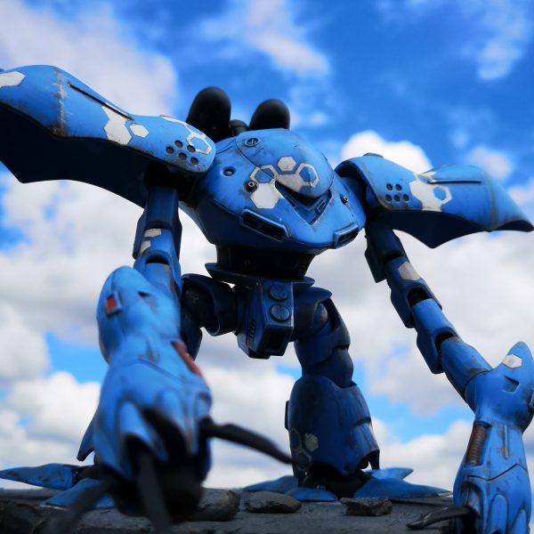 ハイゴッグ(ヘックス迷彩)