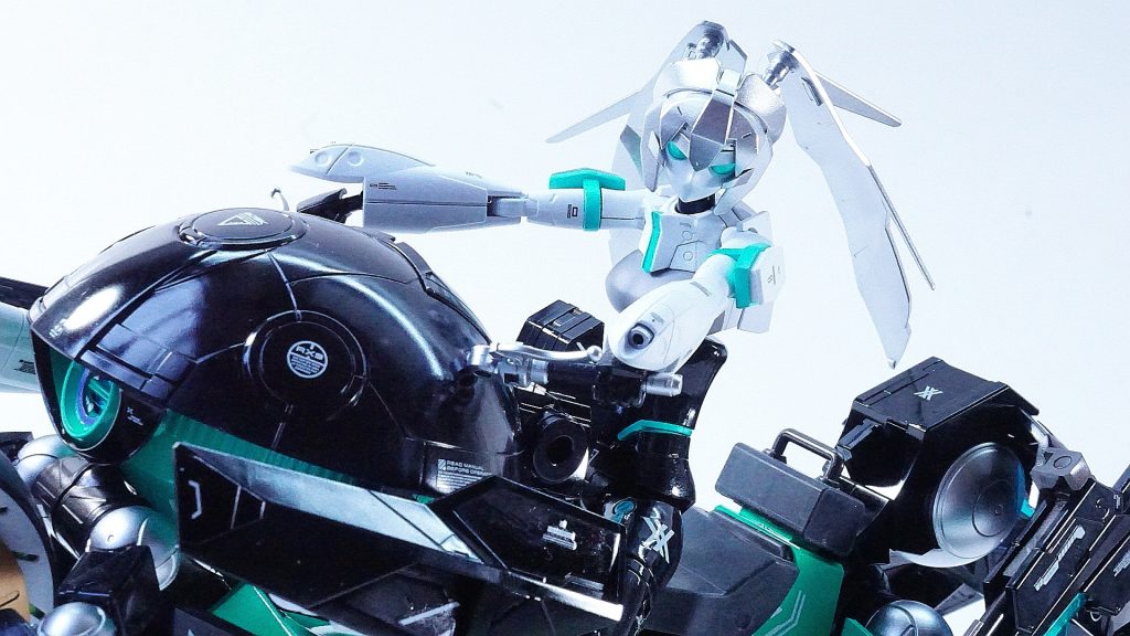 女性の大型バイクってすごいカッコいいと思うんですよ。