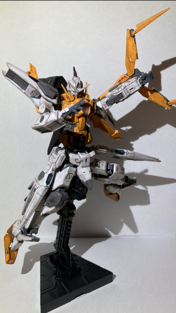 なかなかポージングがうまく決まりませんでした_:(´ཀ`」 ∠):