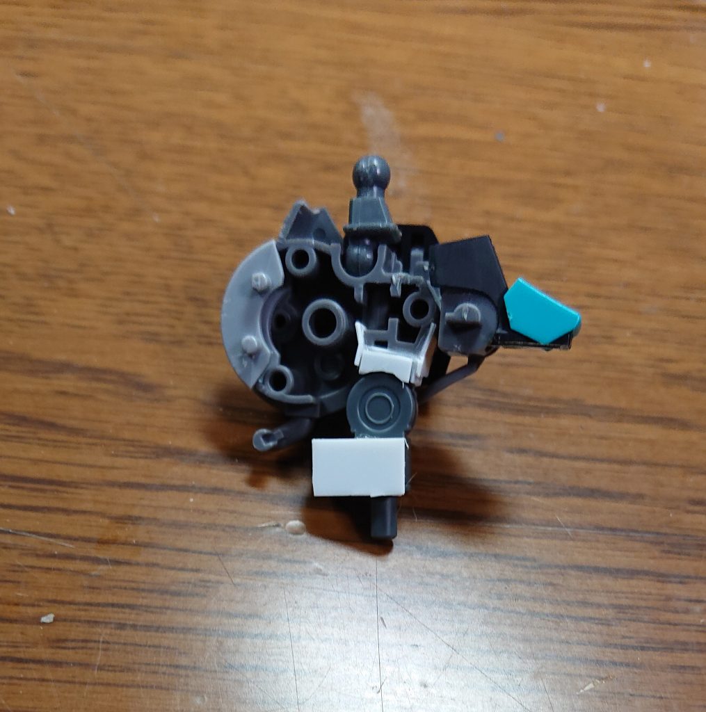 腹部はこんな感じになってます。