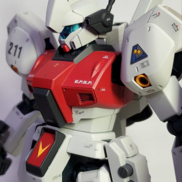 ジェガン　ギラドーガ MGセット ガンプラ「MG ギラ・ドーガ（レズン・シュナイダー専用機）」や