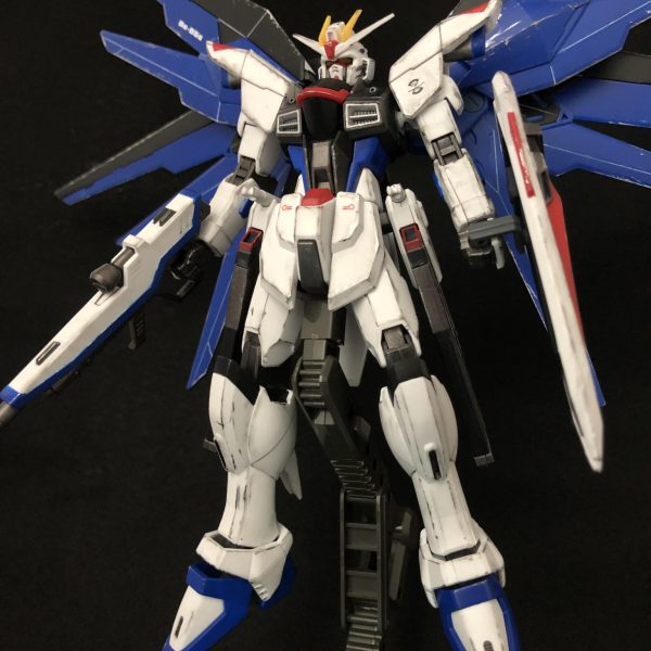 HGCE フリーダム