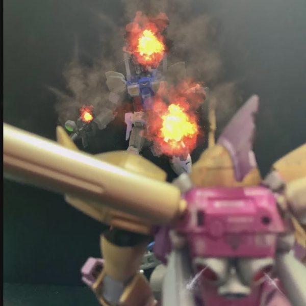 なんて装甲だい!! (シーマ様談) HGゲルググマリーネシーマ仕様 HGガンダム試作1号機