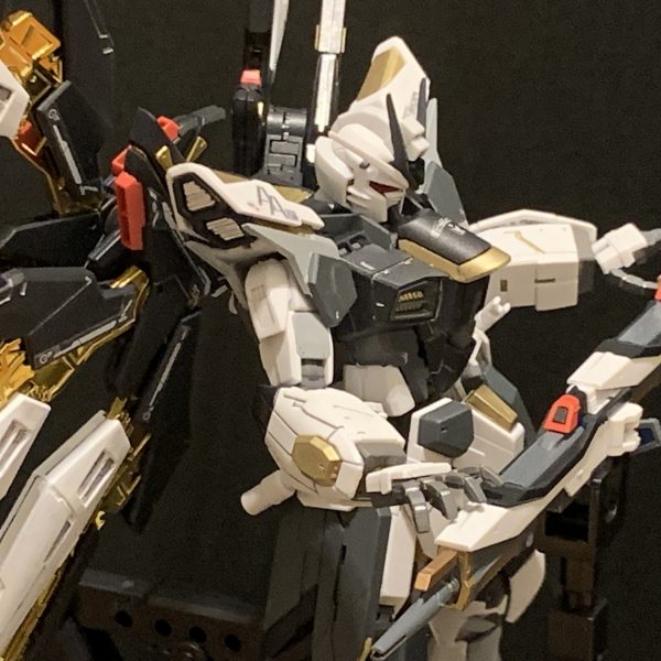 STRIKE FREEDOM GUNDOM