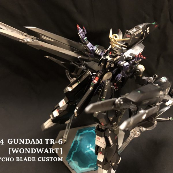 TR-6 [ウーンドウォート/グロリア機強襲仕様]