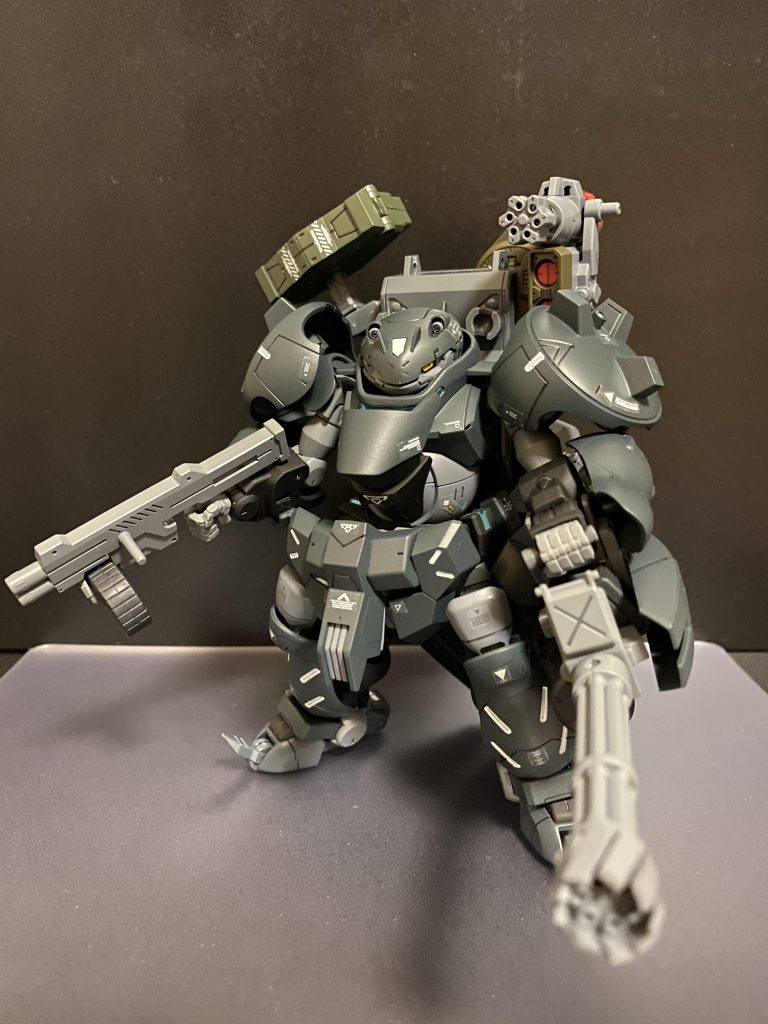 本機はこれまでのほぼ全ての兵装を使用可能であり、陸、海、空そして宇宙空間と、全ての領域に対応している。