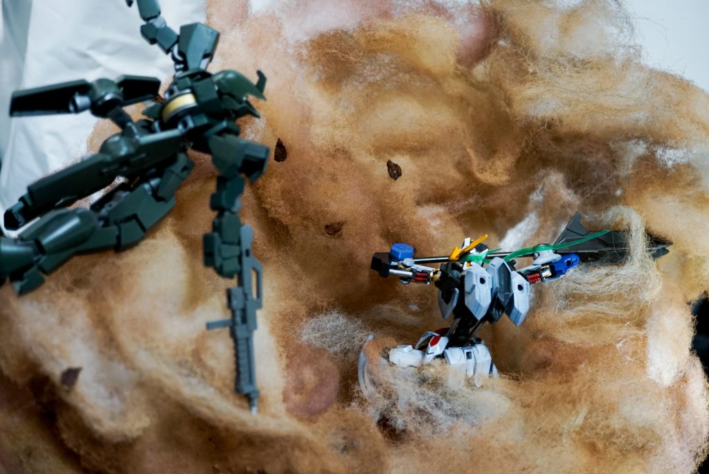 見れる角度限られるからあまりバリエーション出ませんが(¯∇¯٥)