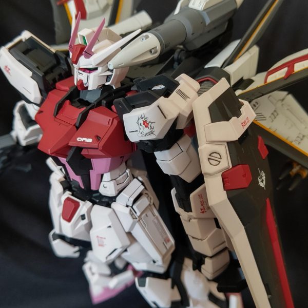 ｽﾄﾗｲｸﾙｰｼﾞｭ  ｵｵﾄﾘ装備+α